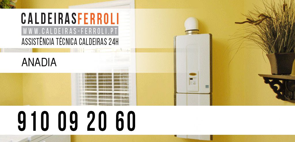 Assistência Caldeiras Ferroli Anadia