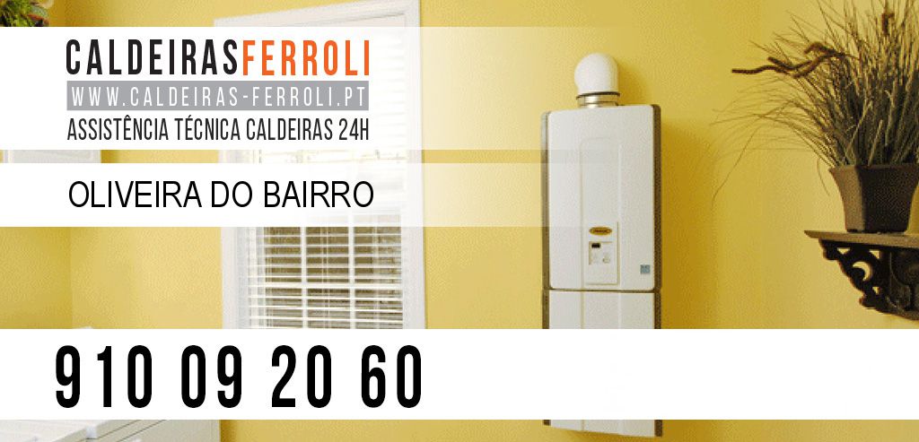 Assistência Caldeiras Ferroli Oliveira do Bairro